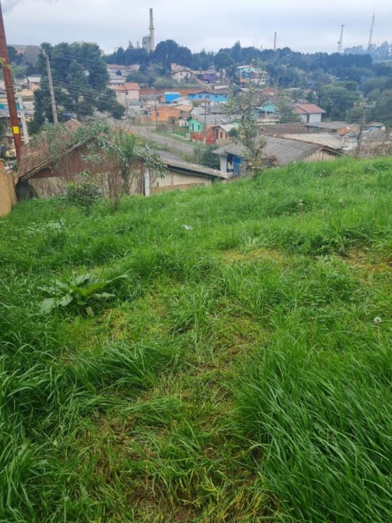 TERRENO NO BAIRRO CAROBA
