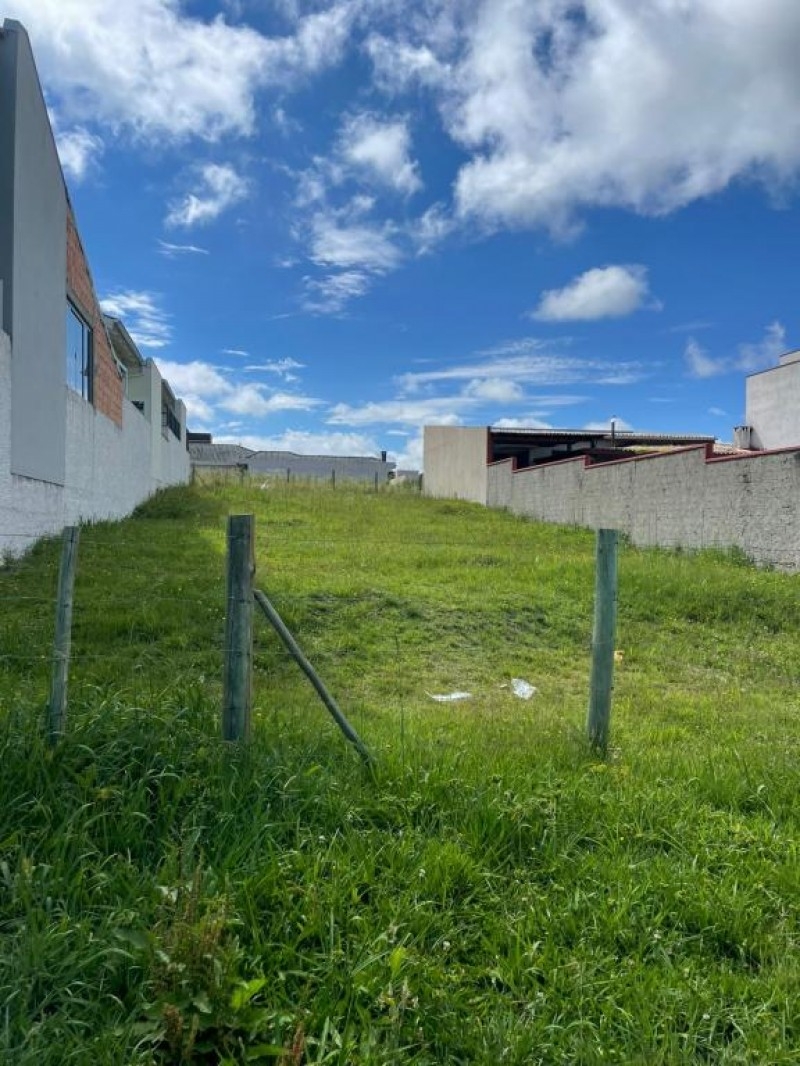 Terreno no Verdes Campos