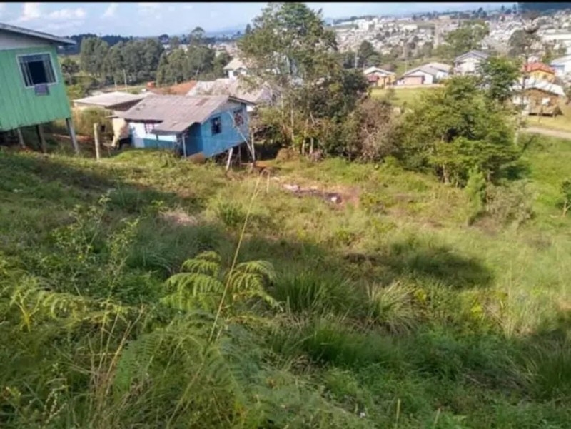 TERRENO BAIRRO CAROBA