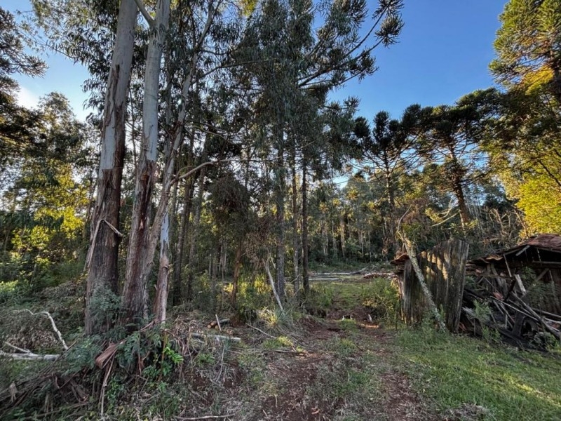Terreno em São José do Cerrito