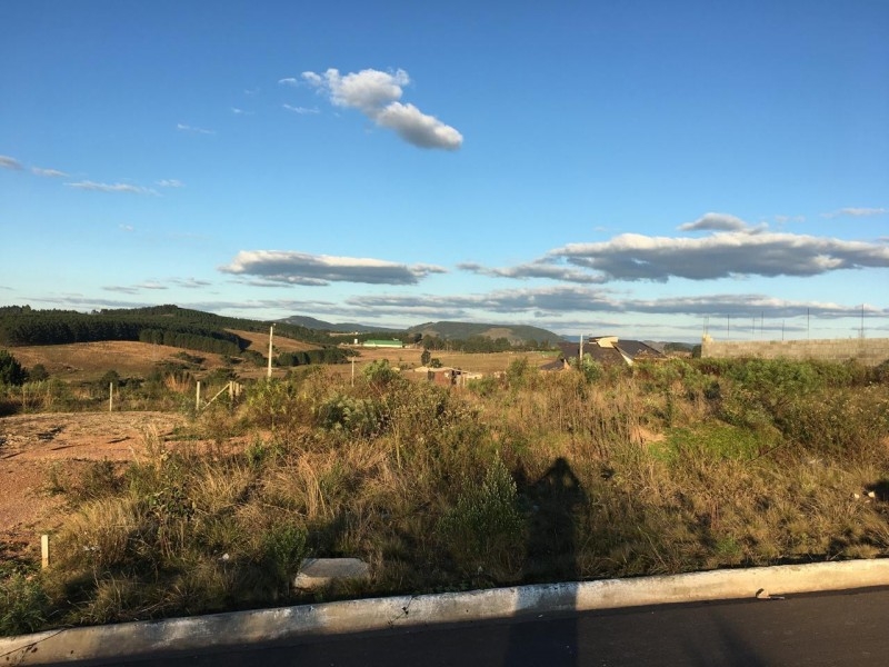 Terreno Residencial Pinhais