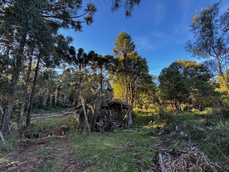 Terreno em São José do Cerrito