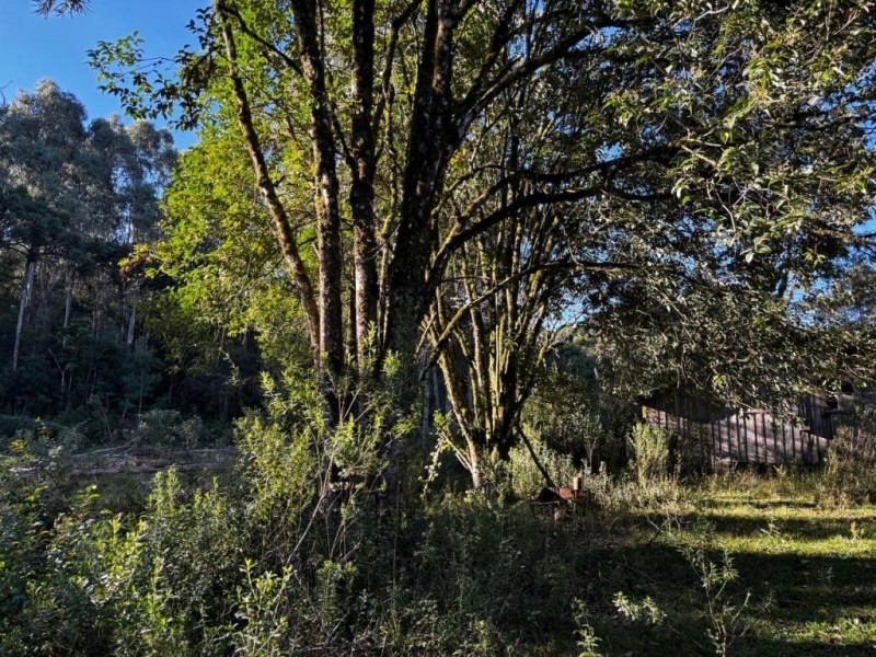 Terreno em São José do Cerrito