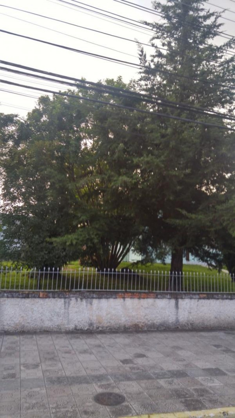 Terreno no bairro universitário