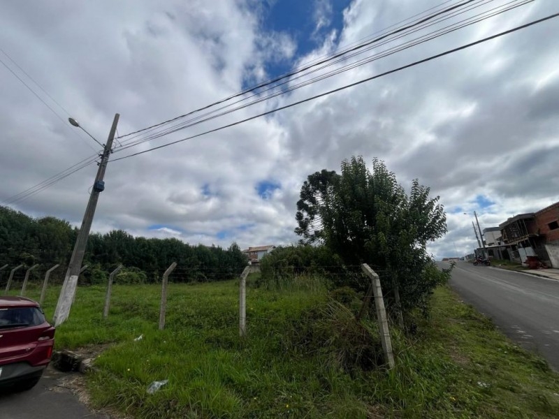 TERRENOS PARA VENDA JUNTOS OU SEPARADOS