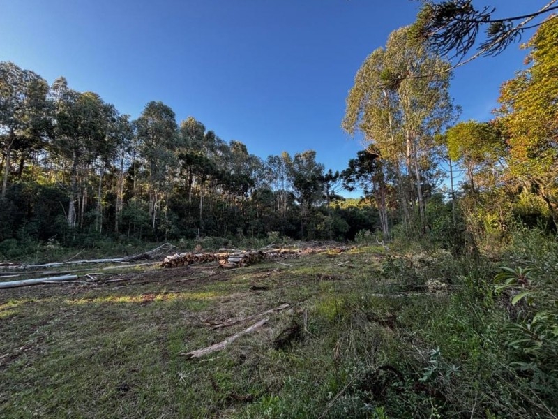 Terreno em São José do Cerrito