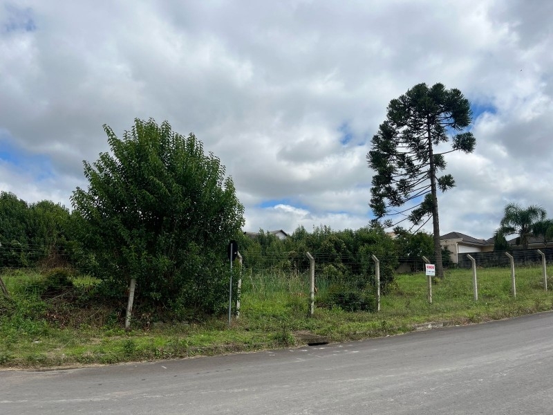 TERRENOS PARA VENDA JUNTOS OU SEPARADOS