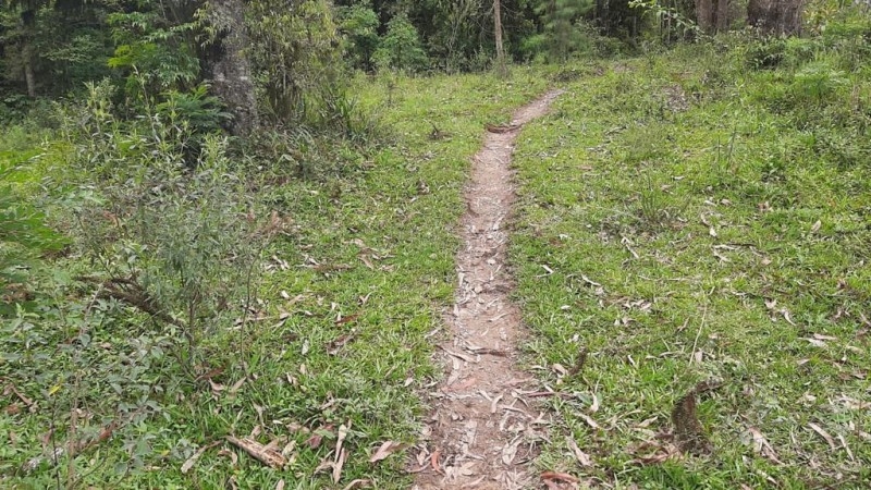 TERRENO RURAL EM PONTE ALTA